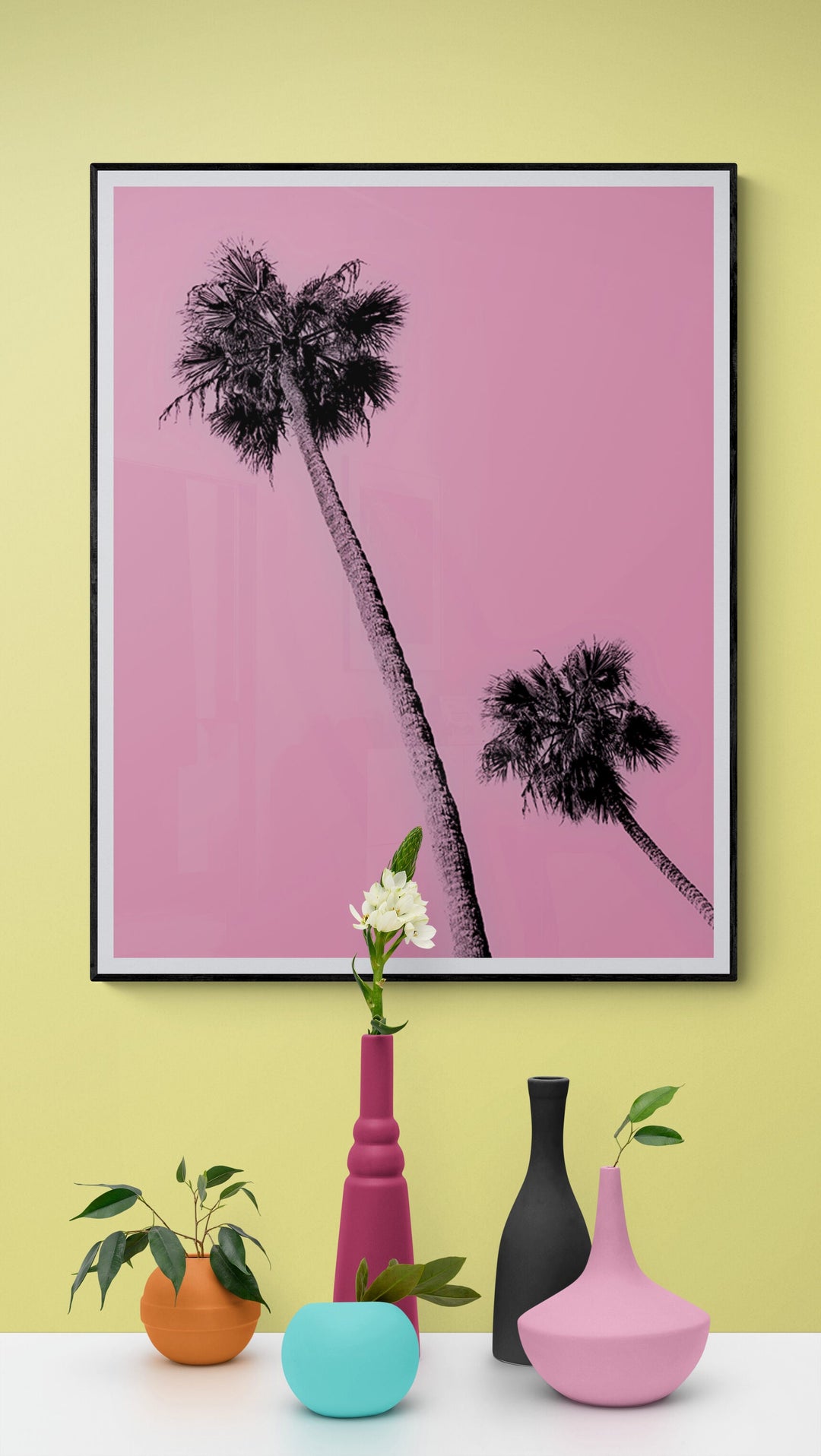 Pink Palms in Montecito