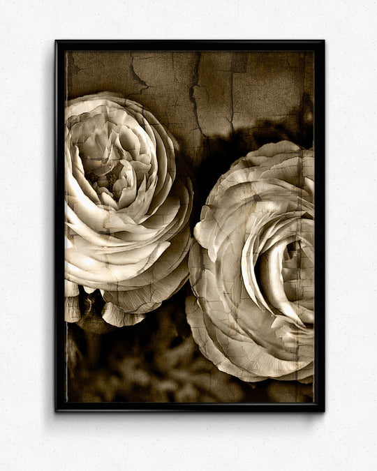 Dual Petrified Flowers